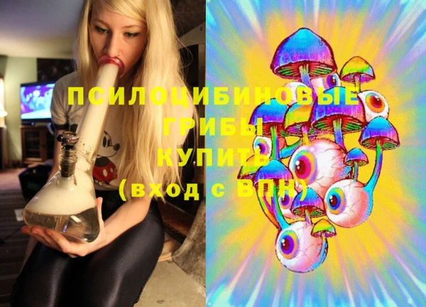 молекула духа Касимов