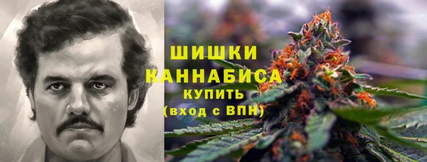 молекула духа Касимов