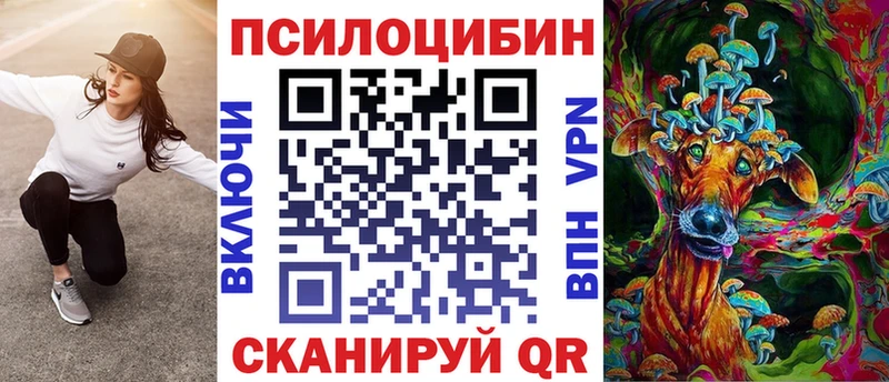 Псилоцибиновые грибы Psilocybe  Арзамас 