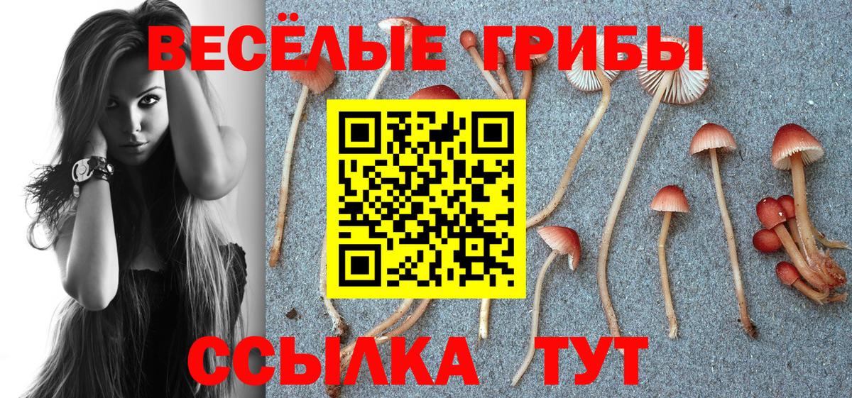 Арзамас  Галлюциногенные грибы Psilocybe  Вход с VPN 