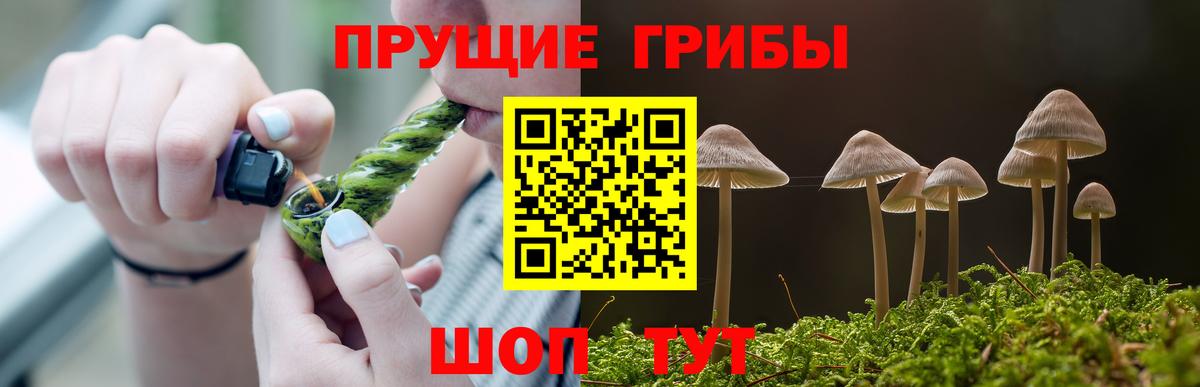 Галлюциногенные грибы ЛСД Арзамас